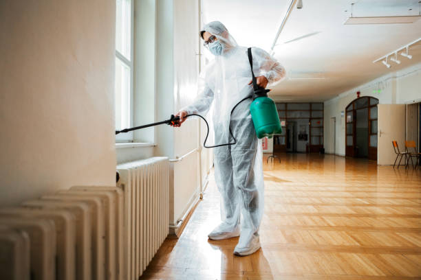 Professional Pest Control in Seffner, FL